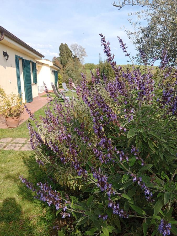 Agriturismo Le Colline Di กาปัลบีโอ ภายนอก รูปภาพ