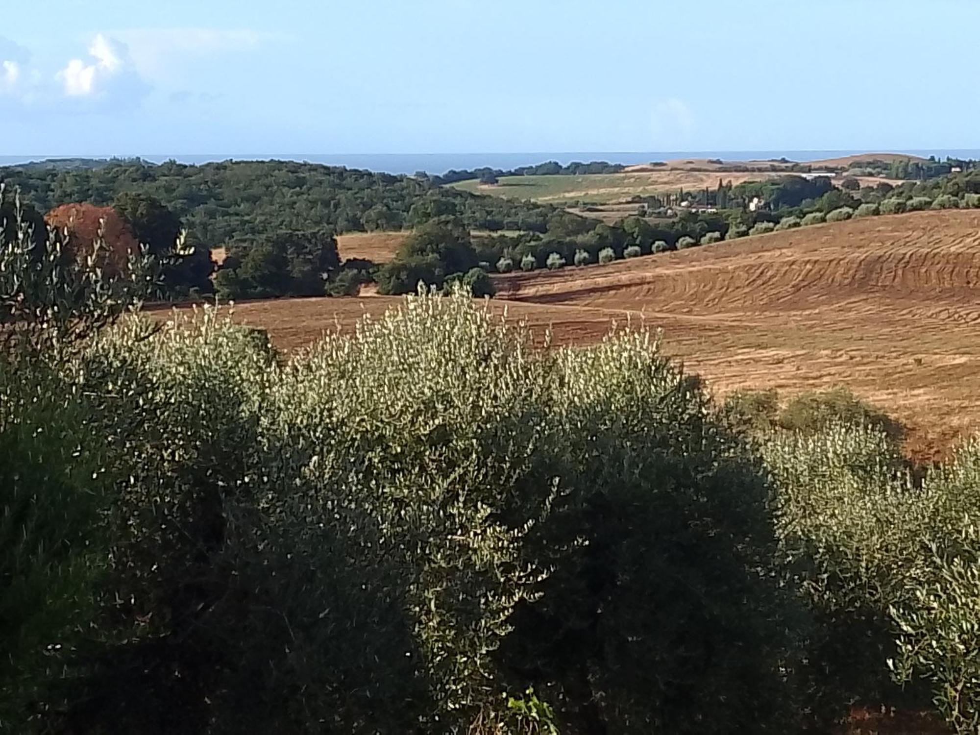 Agriturismo Le Colline Di กาปัลบีโอ ภายนอก รูปภาพ