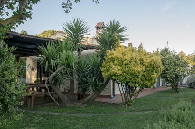 Agriturismo Le Colline Di กาปัลบีโอ ภายนอก รูปภาพ