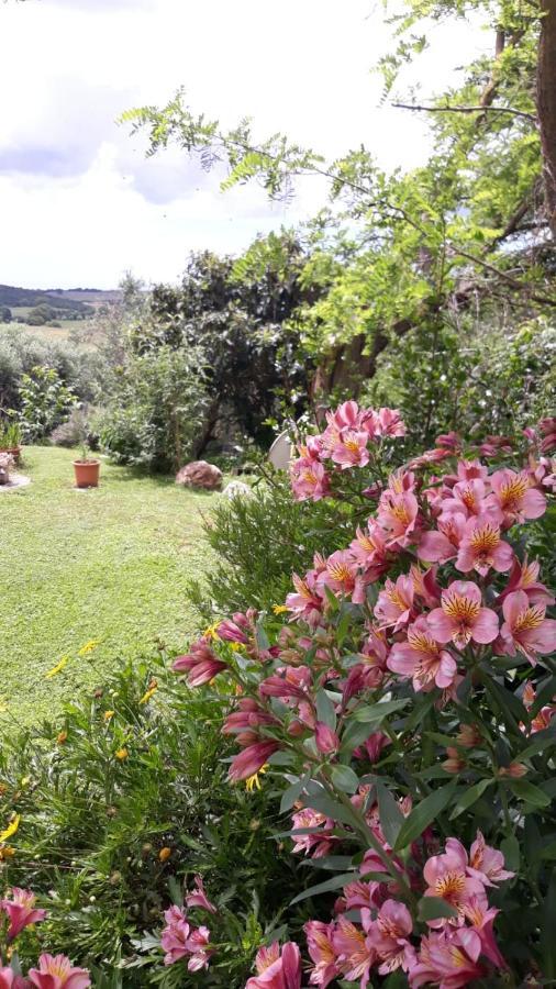 Agriturismo Le Colline Di กาปัลบีโอ ภายนอก รูปภาพ