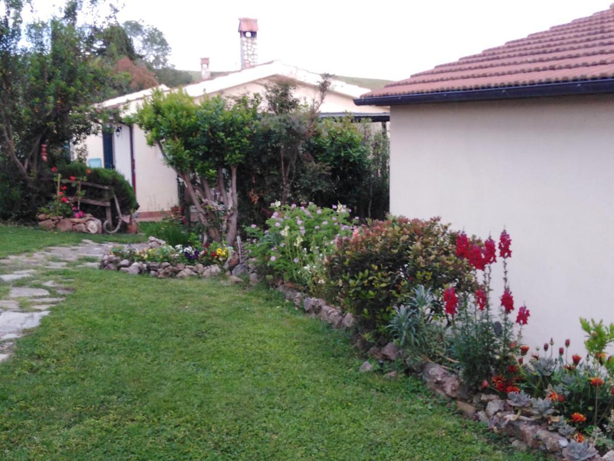 Agriturismo Le Colline Di กาปัลบีโอ ภายนอก รูปภาพ